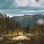Haugetuft شقة فندقية