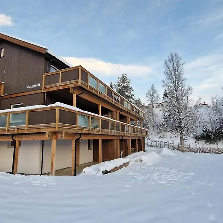 Апарт-отель Haugetuft Amot (Telemark)