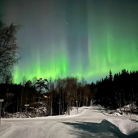 Haugetuft Апарт-отель Amot (Telemark)