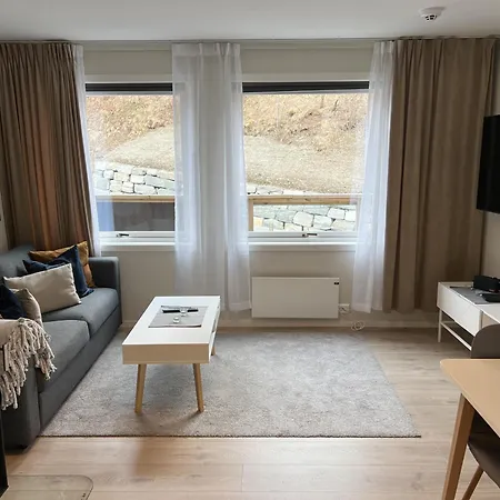 Haugetuft Aparthotel Amot (Telemark)