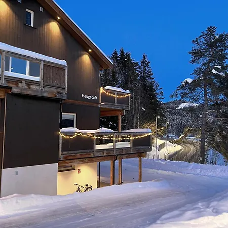 Апарт-отель Haugetuft Amot (Telemark)