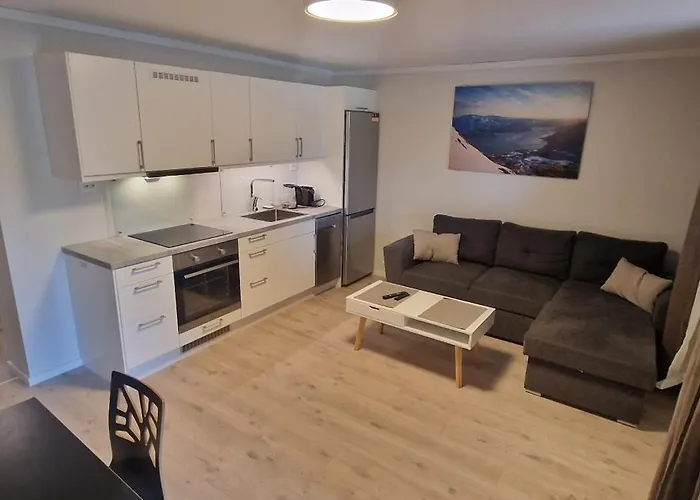 Haugetuft Apart-hotel Amot (Telemark)