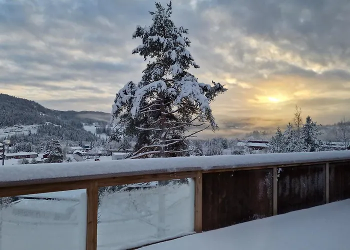 Apart-hotel Haugetuft Amot (Telemark)