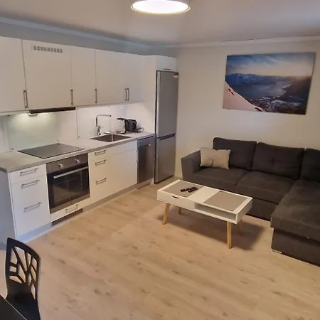 Haugetuft Apartmanhotel Åmot